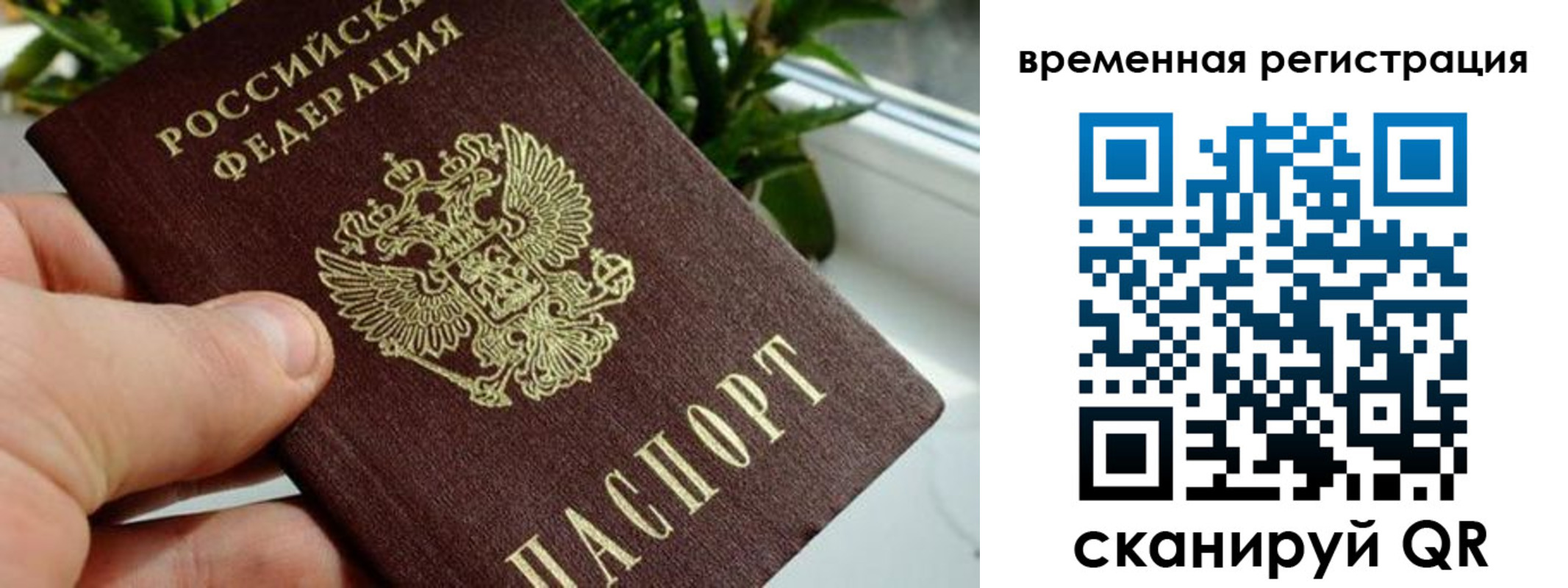 прописка поиск в Мензелинске